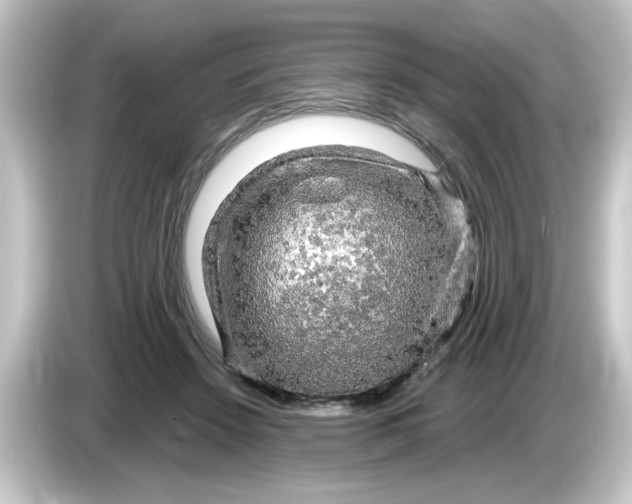 X0000084560456200703161707