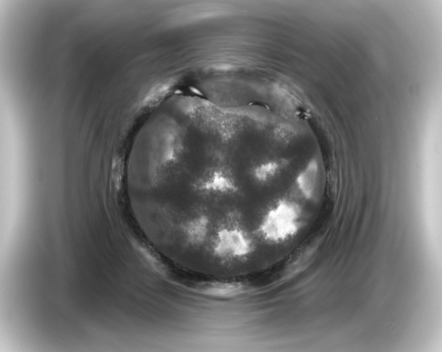 X0000084560458200703161707