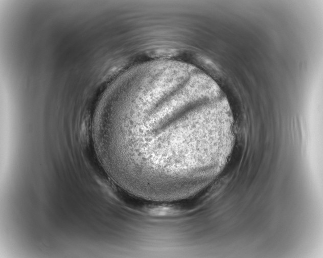 X0000084560460200703161707