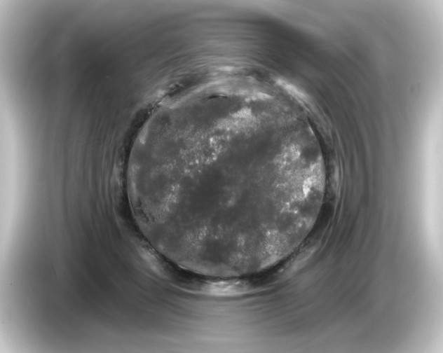 X0000084560461200703161707