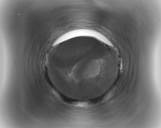 X0000084560462200703161707