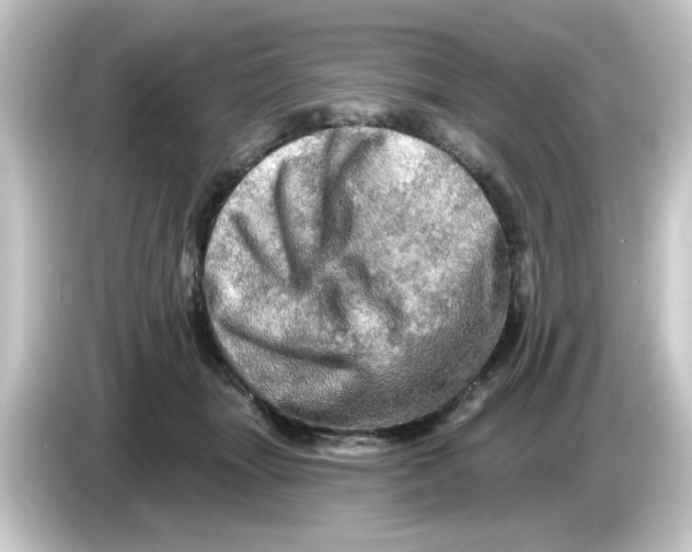 X0000084560463200703161707