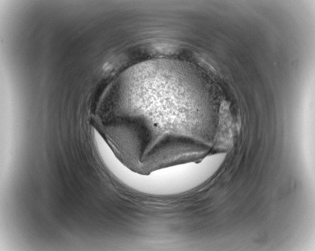 X0000084560464200703161707