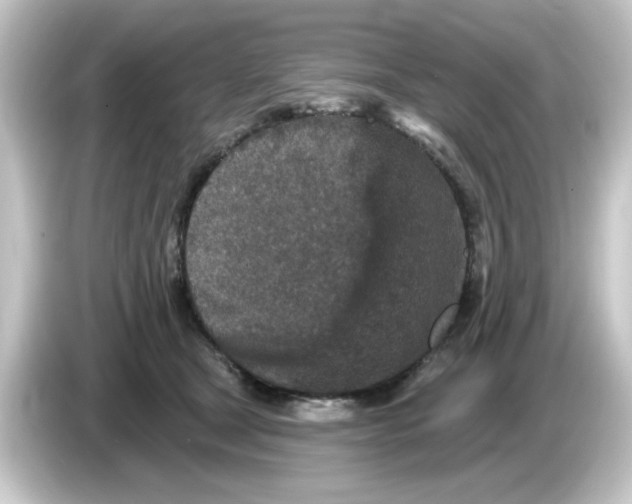 X0000084560465200703161707