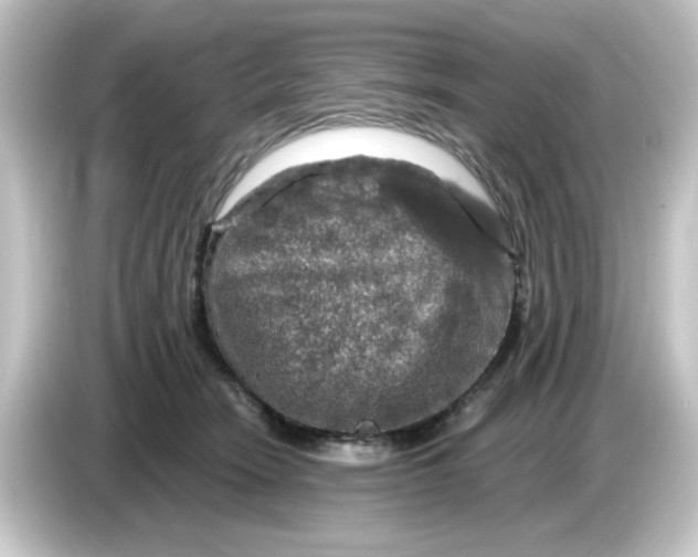 X0000084560466200703161707