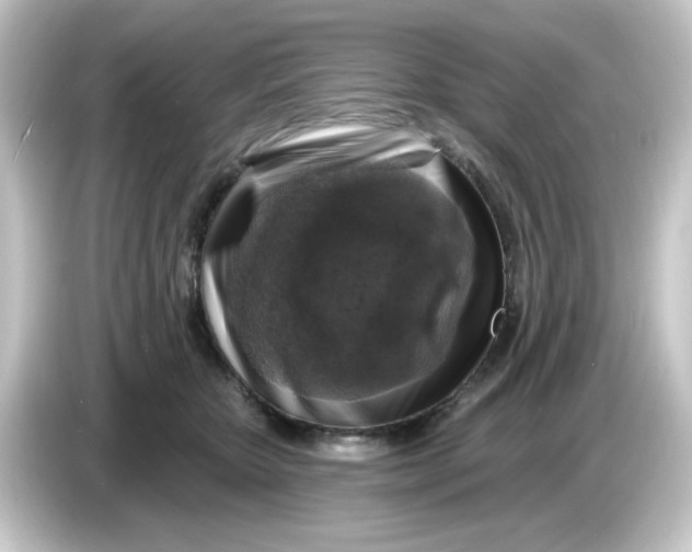 X0000084560467200703161707