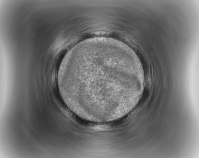 X0000084560468200703161707