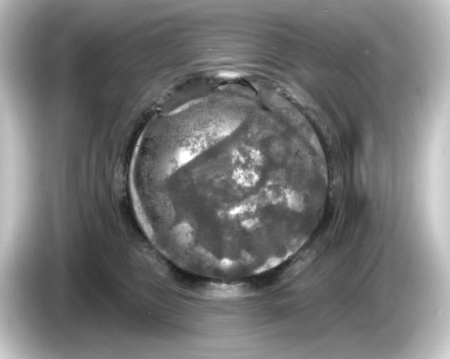 X0000084560469200703161707