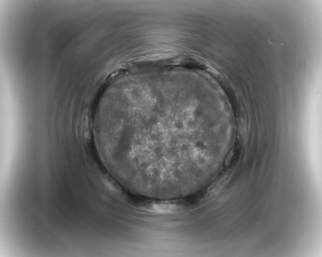 X0000084560470200703161707