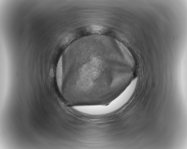 X0000084560472200703161707