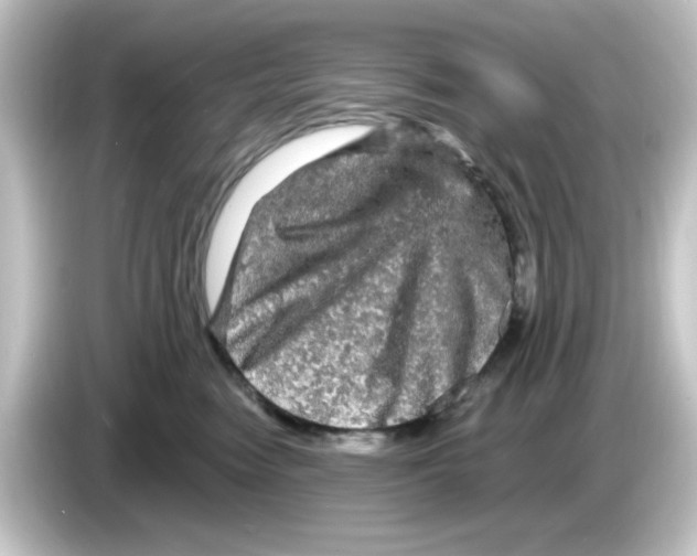 X0000084560474200703161707