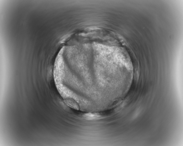 X0000084560477200703161707