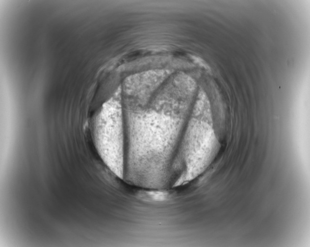 X0000084560478200703161707