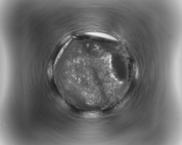 X0000084560479200703161707