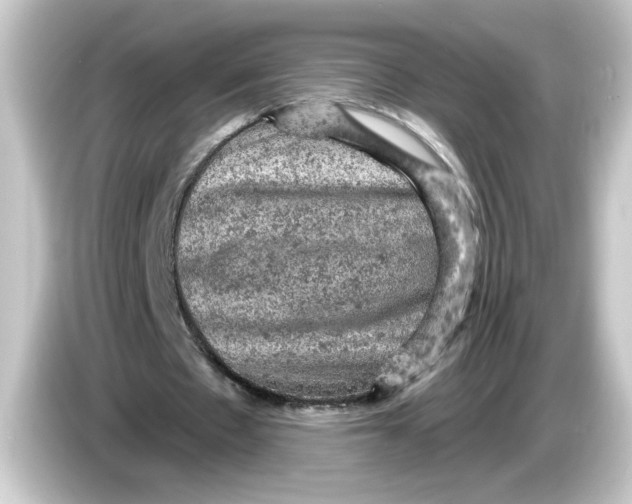 X0000084560481200703161707