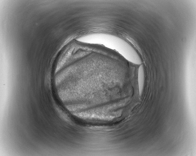 X0000084560482200703161707