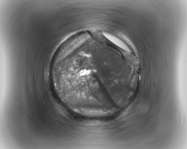 X0000084560483200703161707