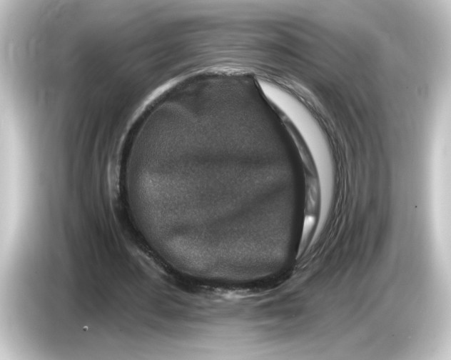 X0000084560484200703161707