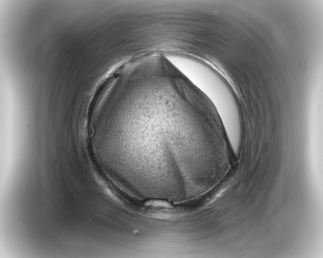 X0000084560485200703161707