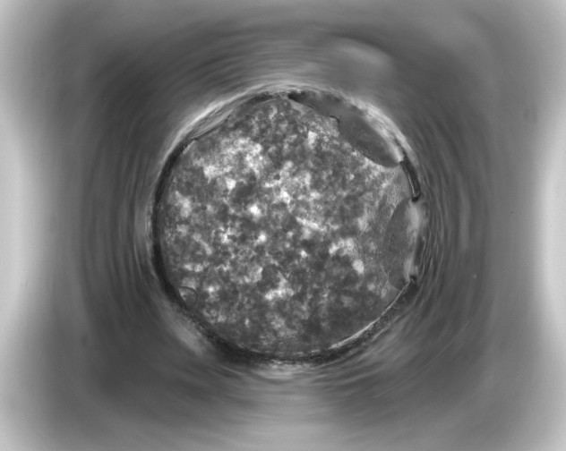 X0000084560487200703161707