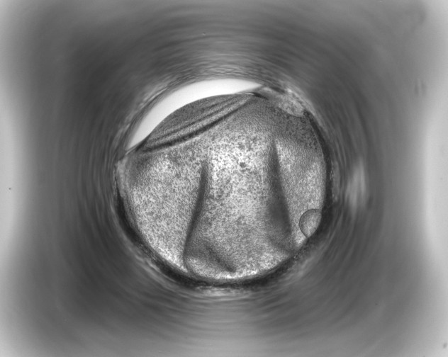 X0000084560490200703161707