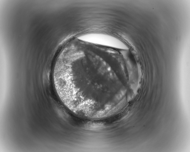 X0000084560491200703161707