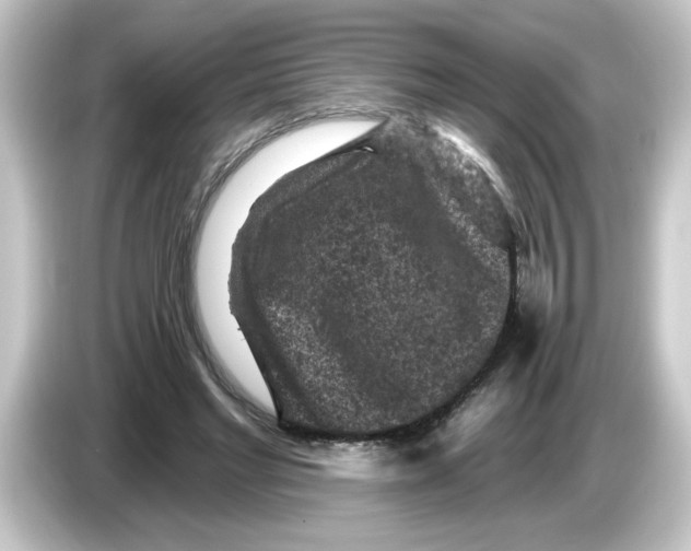 X0000084560493200703161707