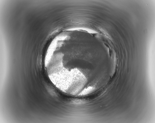 X0000084560494200703161707