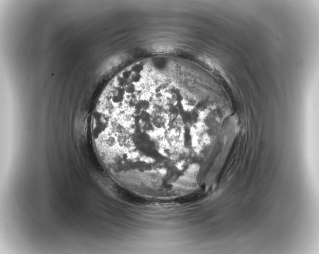 X0000084560495200703161707