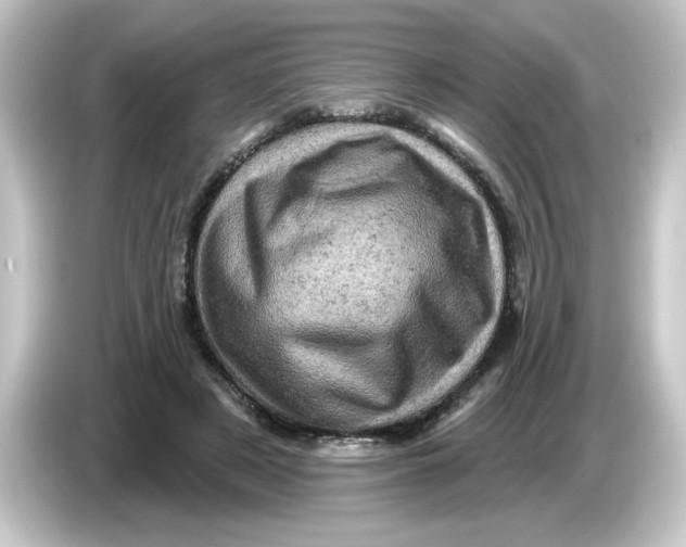 X0000084560497200703161707