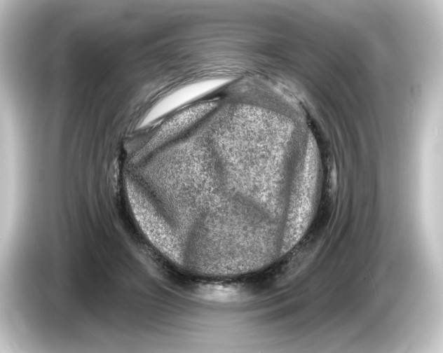 X0000084560498200703161707