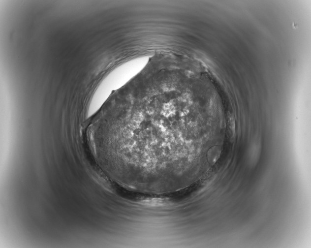 X0000084560499200703161707