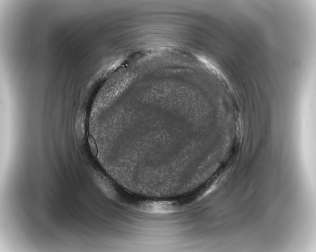 X0000084560501200703161707