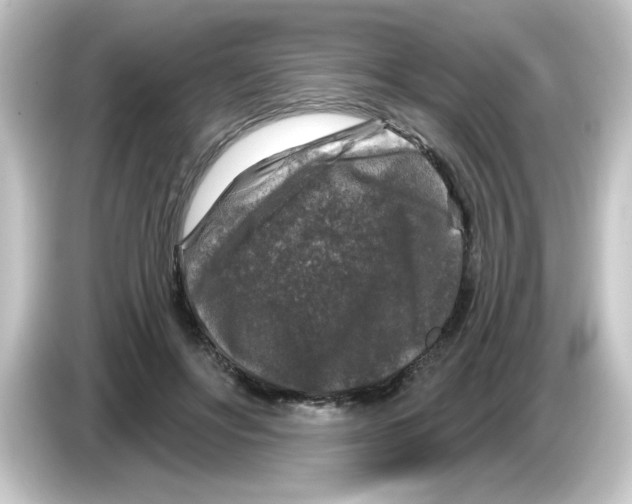 X0000084560502200703161707