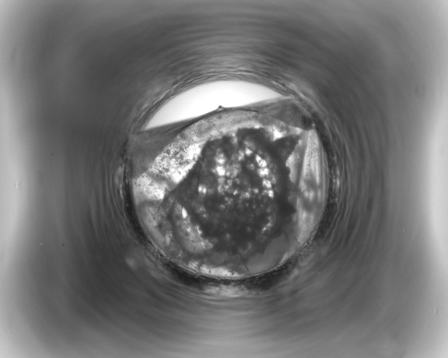 X0000084560503200703161707