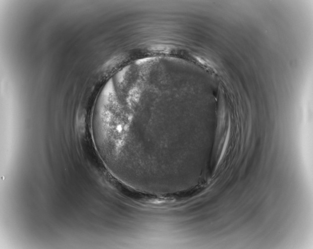 X0000084560504200703161707