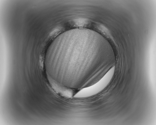 X0000084560505200703161707