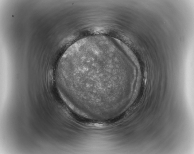 X0000084560506200703161707