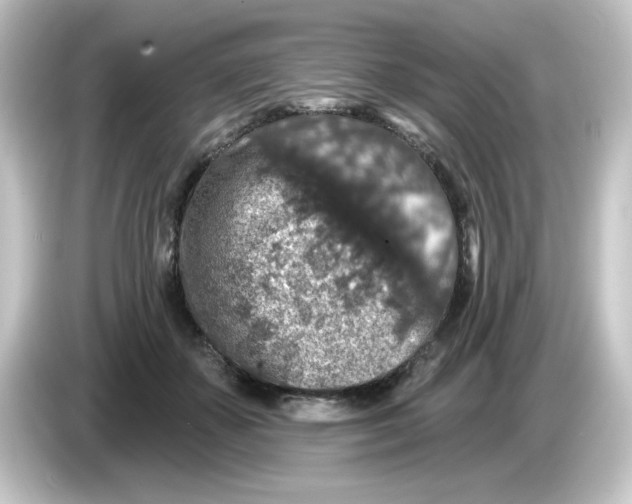 X0000084560507200703161707