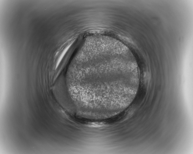 X0000084560508200703161707