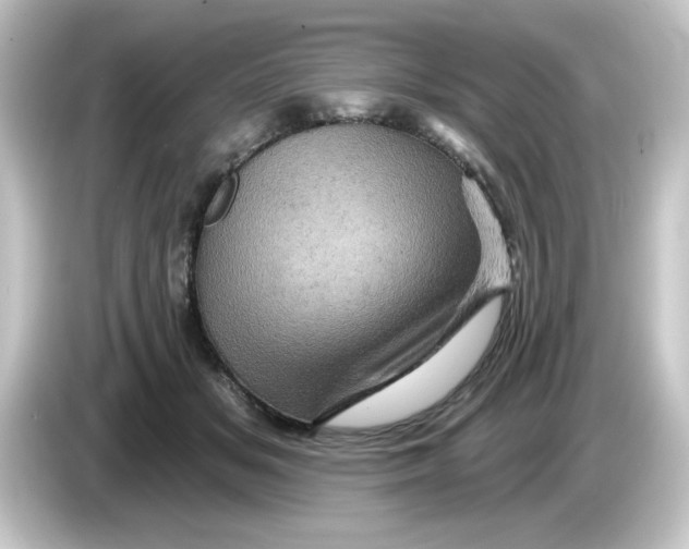 X0000084560509200703161707