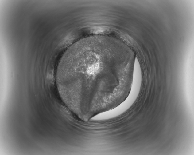 X0000084560510200703161707