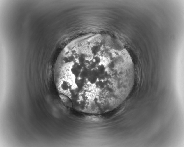 X0000084560511200703161707