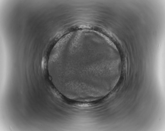 X0000084560513200703161707