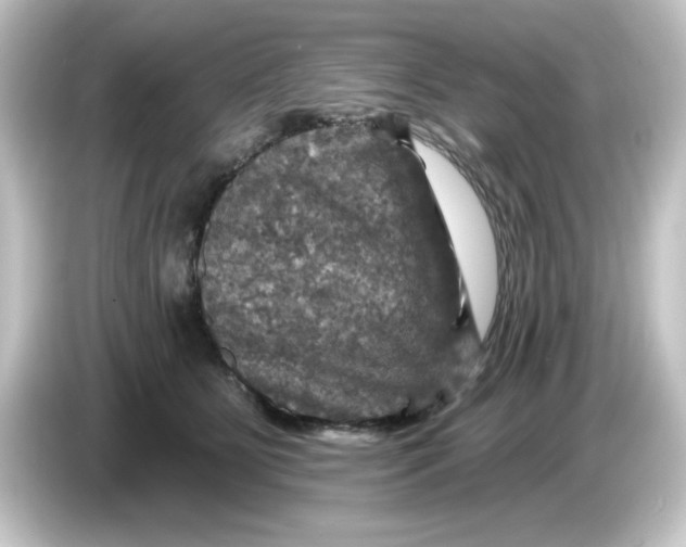 X0000084560515200703161706