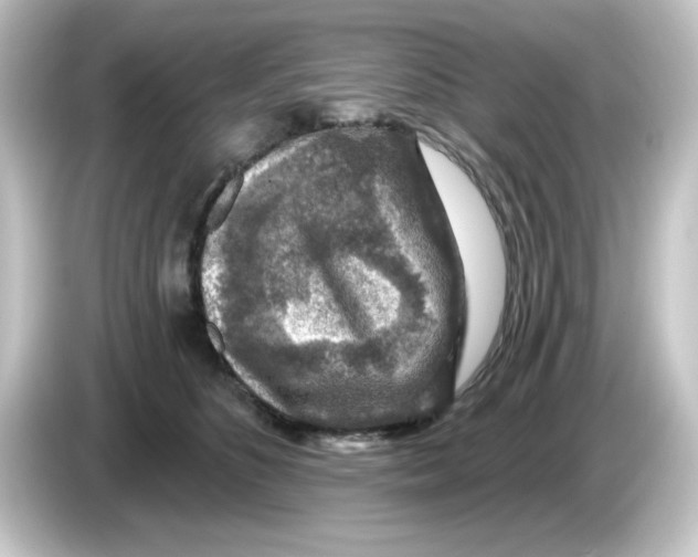 X0000084560516200703161706