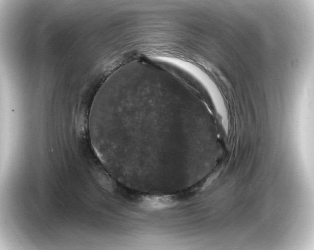 X0000084560517200703161706