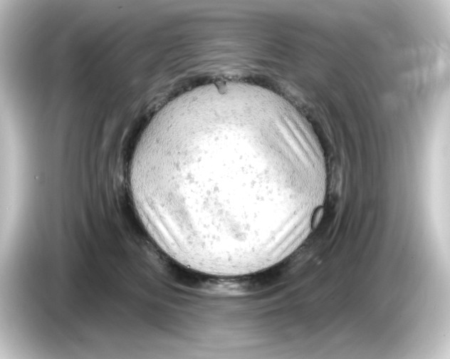 X0000084560518200703161706