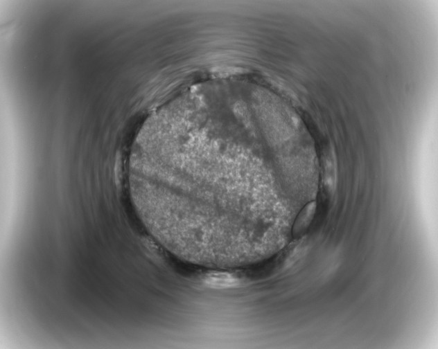 X0000084560519200703161706