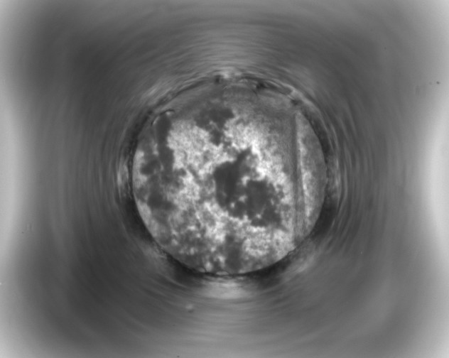 X0000084560523200703161706